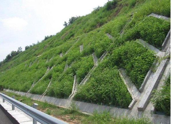 云开体育三、应用规模河谈护坡:加固河岸-开云官网切尔西赞助商(2025已更新(最新/官方/入口)